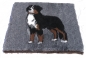 Preview: NEU Iso-Bed Berner Sennenhund grau